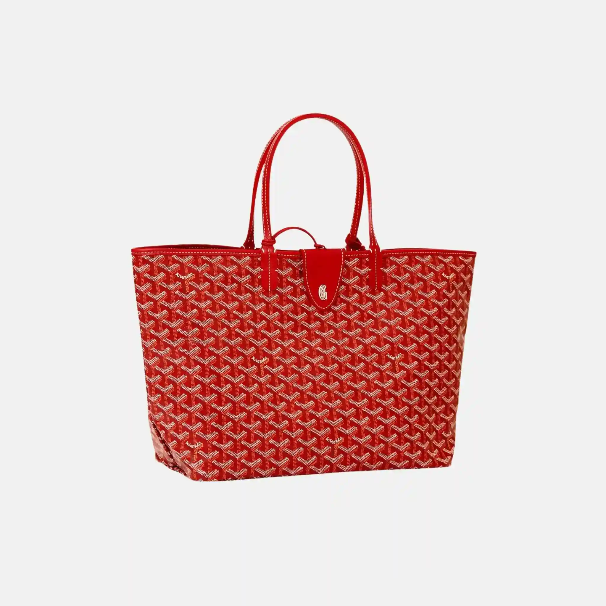 Saint Louis PM Bag - Image 6